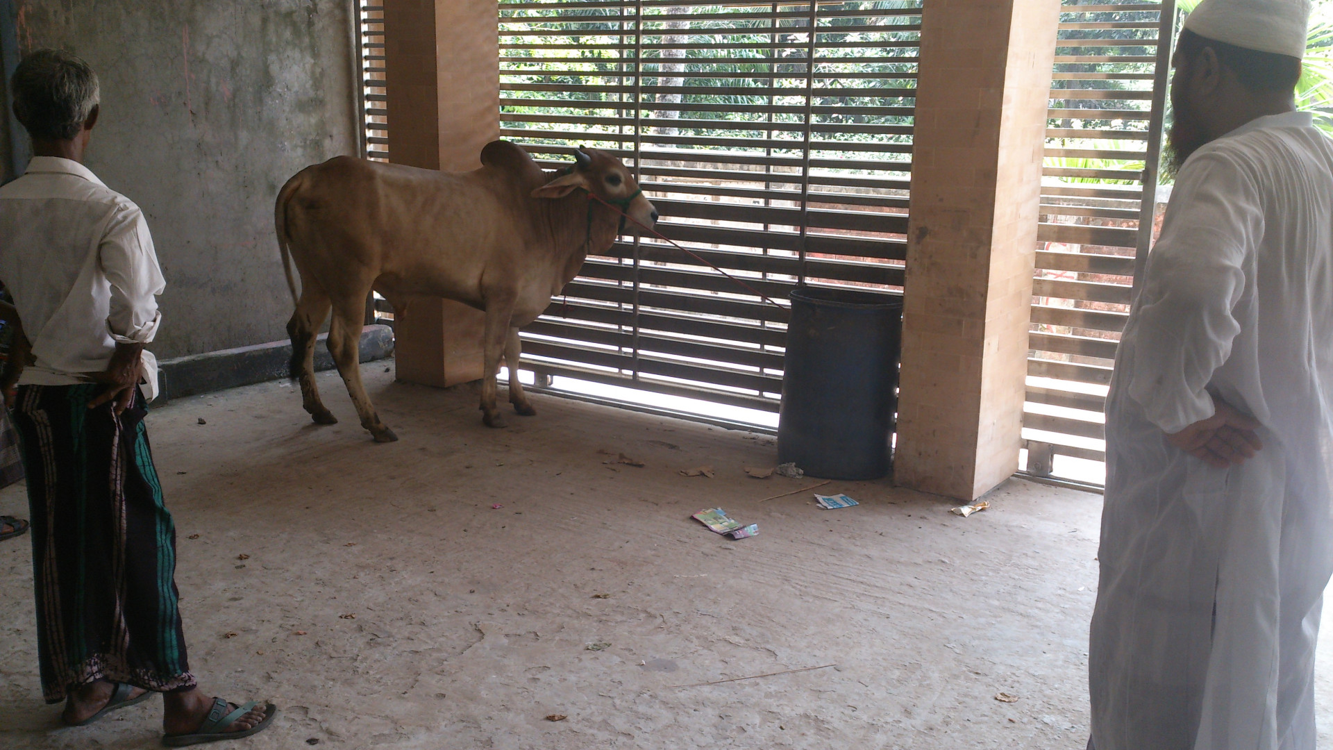 How Your Qurbani Donation Helps Communities