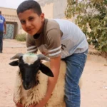 Learn All About Qurbani Donations