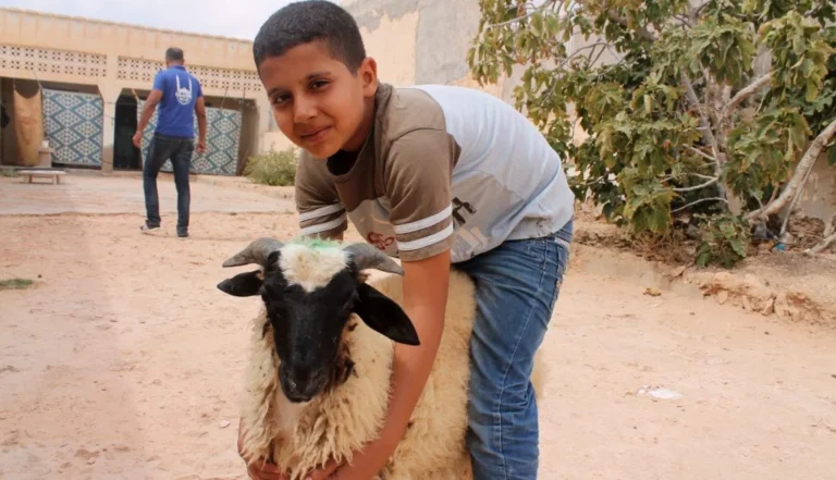 Learn All About Qurbani Donations: Let’s Break It Down