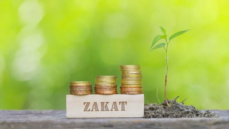 Small Ways to Make a Big Impact Through Zakat