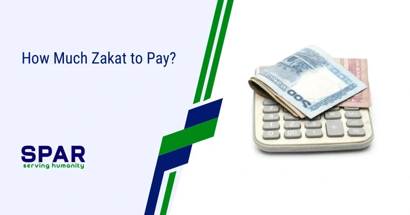 How Much Zakat to Pay?