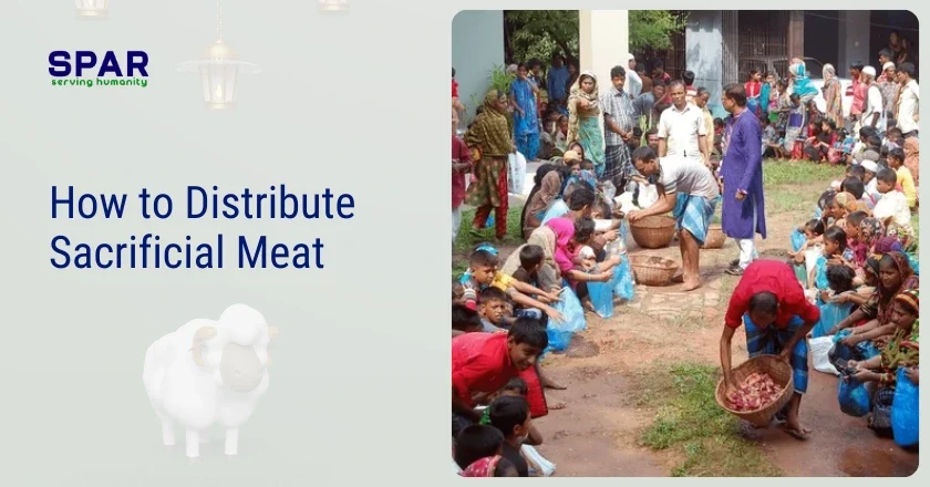 Sacrifice in Islam: Easy Meaning, Important Rules & Benefits 3 How to Distribute Sacrificial Meat