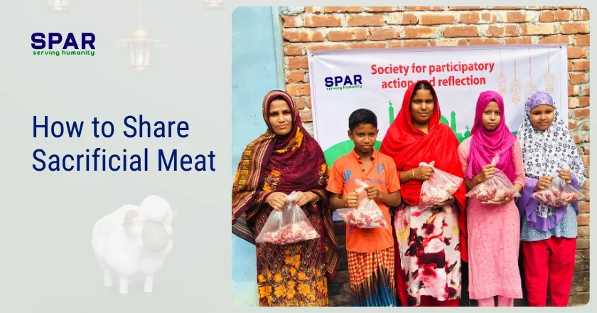 Islam Animal Sacrifice: Meaning, Rules, and Importance 3 How to Share Sacrificial Meat