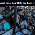 Human appeal gaza