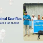 Islam animal sacrifice