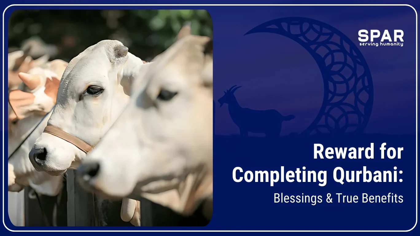 Reward for completing qurbani