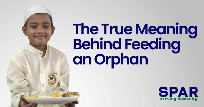 Meaning Behind Feeding an Orphan