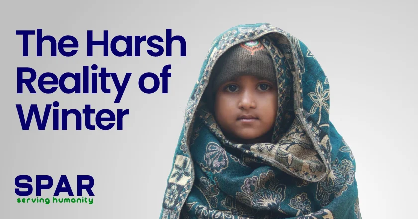 The Harsh Reality of Winter