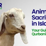 Animal sacrifice in islam​