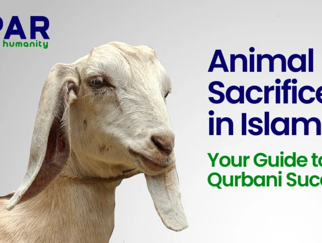 Animal Sacrifice in Islam: Your Guide to Qurbani Success