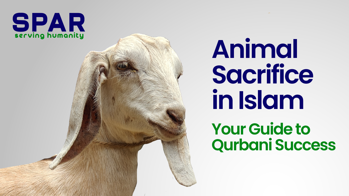 Animal sacrifice in islam​