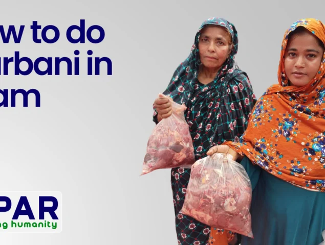 How to Do Qurbani in Islam: A Simple Guide for the Modern Donor