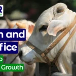 Islam and sacrifice​