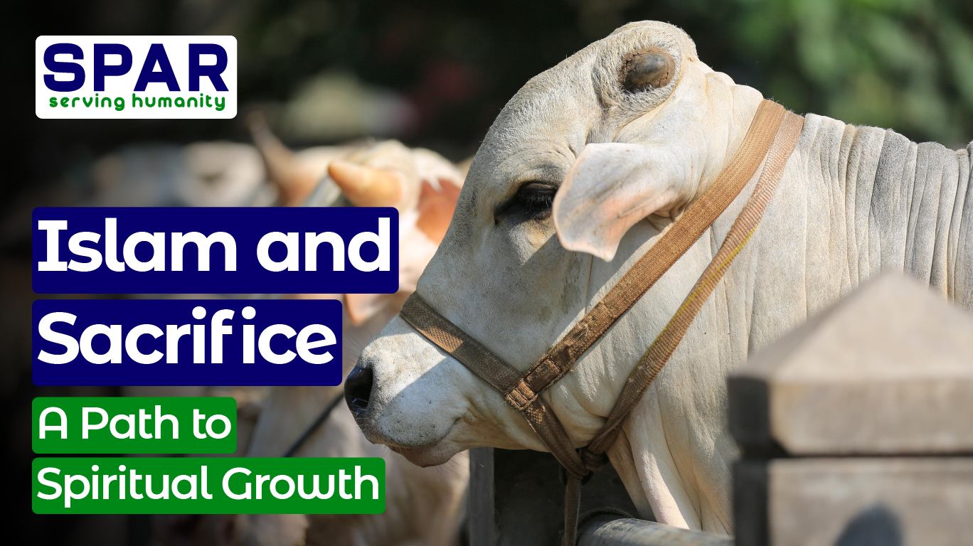 Islam and sacrifice​