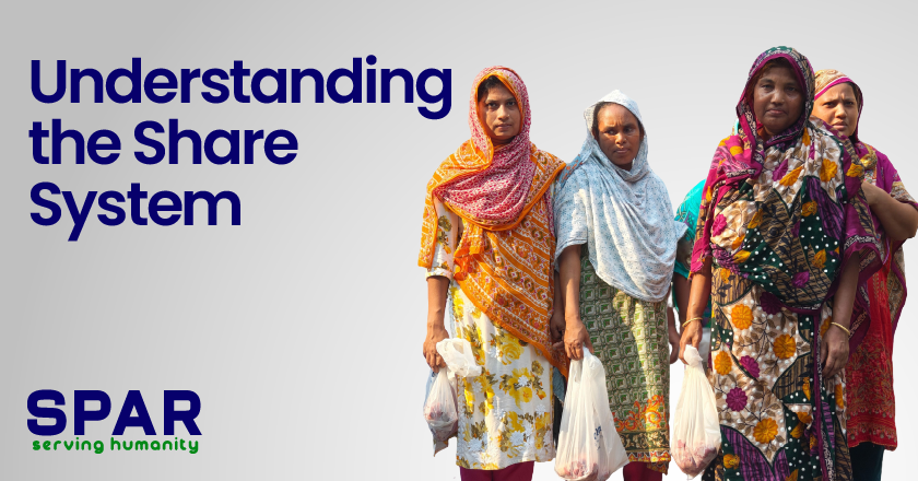 Understanding the Share System