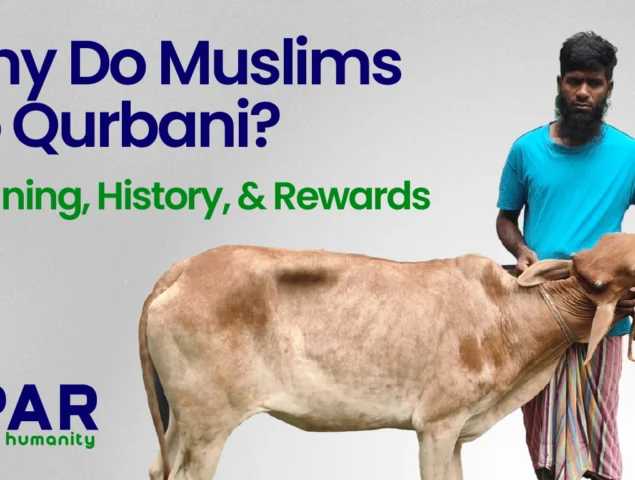 Why Do Muslims Do Qurbani? Meaning, History, and Rewards
