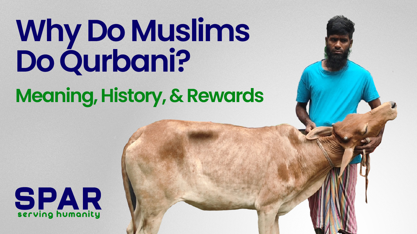 Why Do Muslims Do Qurbani?