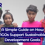 how ngos support sustainable development goals?