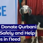 How to donate qurbani online