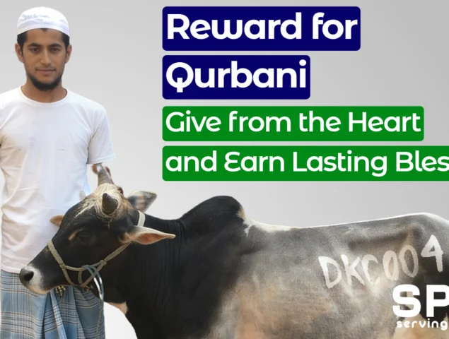 Reward for Qurbani: Give from the Heart and Earn Lasting Blessings