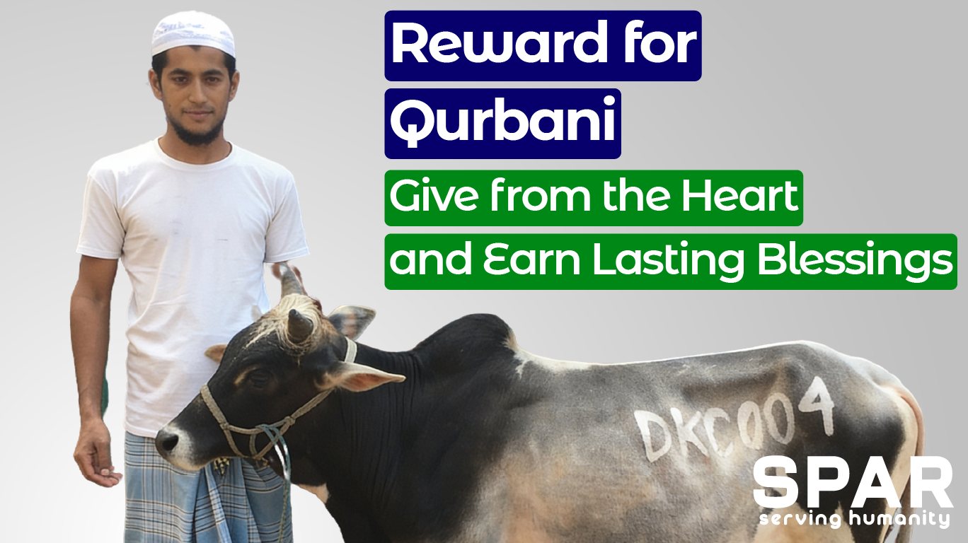 Reward for qurbani
