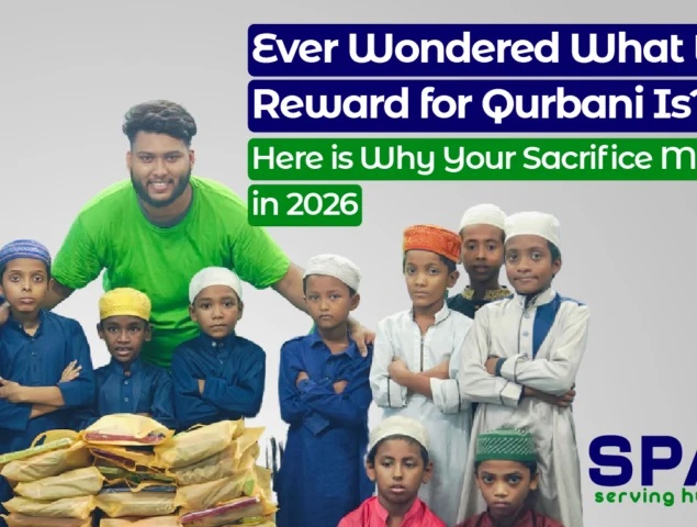 Ever Wondered What the Reward for Qurbani Is? Here is Why Your Sacrifice Matters in 2026