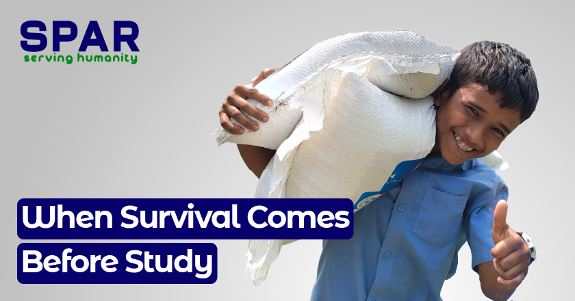 When Survival Comes Before Study
