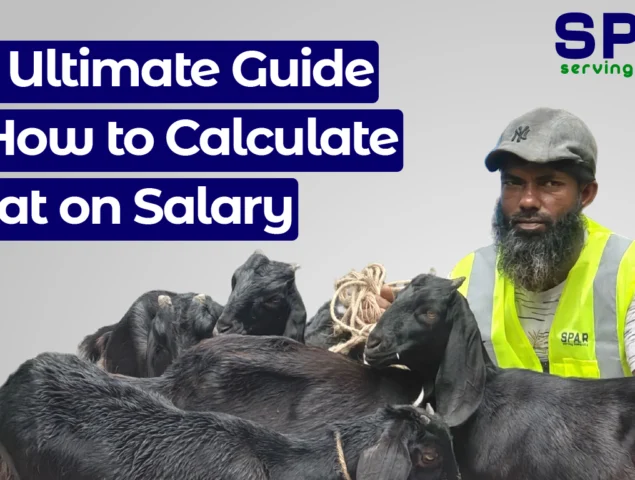 The Ultimate Guide on How to Calculate Zakat on Salary