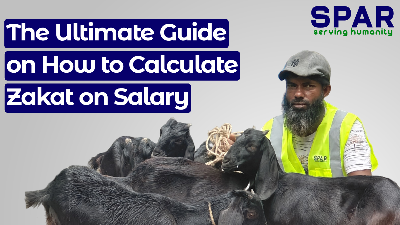 Calculate Zakat on Salary